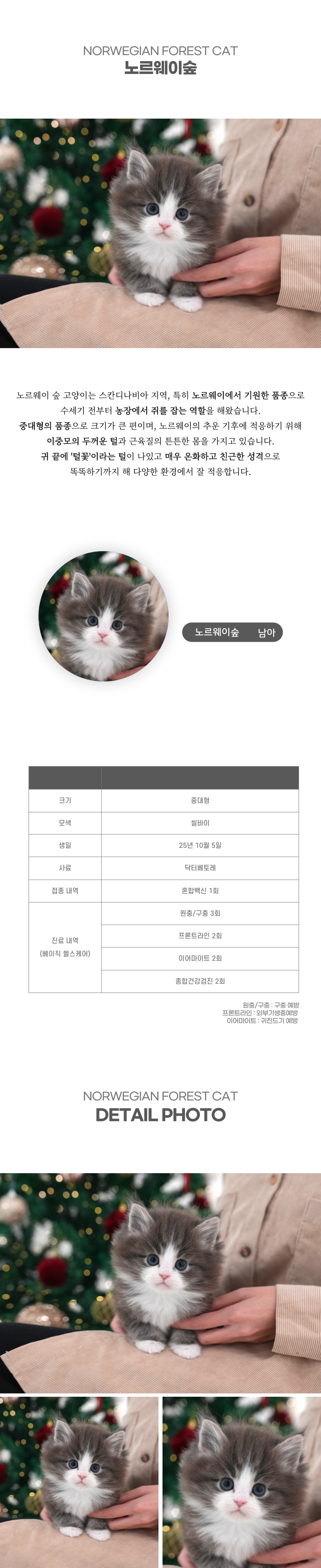 노르웨이숲_상세이미지_2